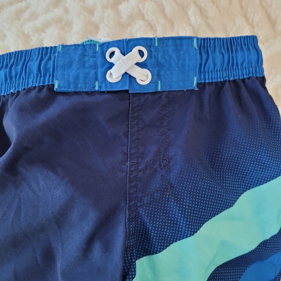 Swim Trunks - Picture 2 of 5